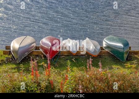 Canoës et kayaks dans une tempête de pluie le long d'un lac dans le Yukon éloigné ; Yukon, Canada Banque D'Images