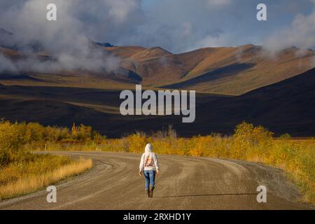 Femme marchant sur la route Dempster dans la lumière du matin du Yukon. Les couleurs d'automne commencent à orner le paysage ; Yukon, Canada Banque D'Images