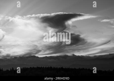 Monochrome des nuages de Virga pendant un coucher de soleil et une forêt silhouettée ; Olympia, Washington, États-Unis d'Amérique Banque D'Images