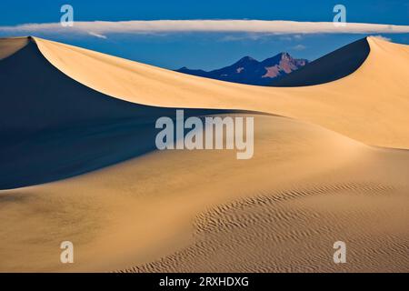 Mesquite Flat Sand Dunes dans le parc national de la Vallée de la mort, Californie, États-Unis ; Californie, États-Unis d'Amérique Banque D'Images