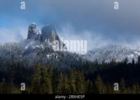 La limite des arbres avec la cime des arbres saupoudrée de neige et les sommets des oreilles de lapin dans la forêt nationale de Rogue River–Siskiyou, Oregon, États-Unis ; Oregon, États-Unis d'Amérique Banque D'Images