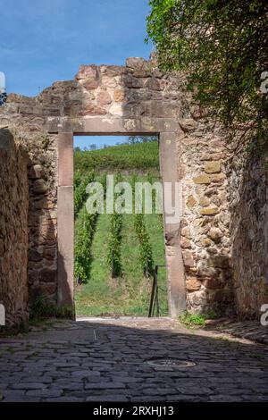 La route des vins. Vue d'une porte dans le mur de pierre dans le centre-ville avec des vignes en arrière-plan Banque D'Images