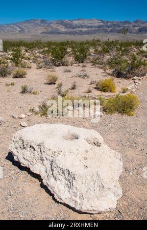 Le Corn Creek Visitor Center, au nord de Las Vegas, NV, informe les visiteurs sur le paysage environnant et sa faune. Banque D'Images