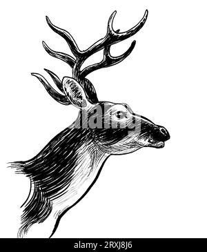 Tête de cerf. Dessin noir et blanc à l'encre de style rétro dessiné à la main Banque D'Images