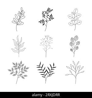 Fleurs minimalistes et collection botanique. Branche florale dessinée à la main, feuilles herbes et plantes sauvages mis en ligne. Pour la décoration. Illustration de Vecteur