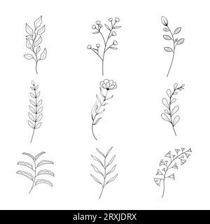 Fleurs minimalistes et collection botanique. Branche florale dessinée à la main, feuilles herbes et plantes sauvages mis en ligne. Pour la décoration, mariage et invit Illustration de Vecteur