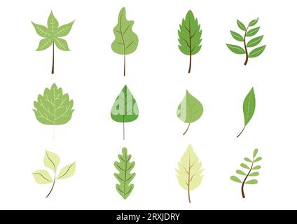Ensemble plat de feuilles vertes. Illustration de Vecteur