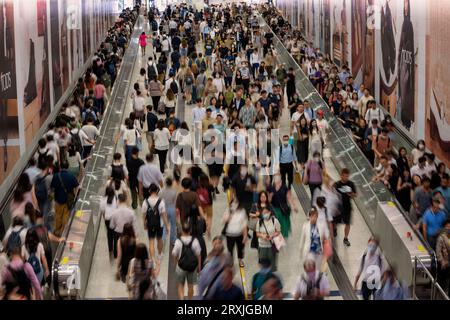 Station centrale Hong Kong MTR métro pendant les heures de pointe, Hong Kong, Chine. Banque D'Images