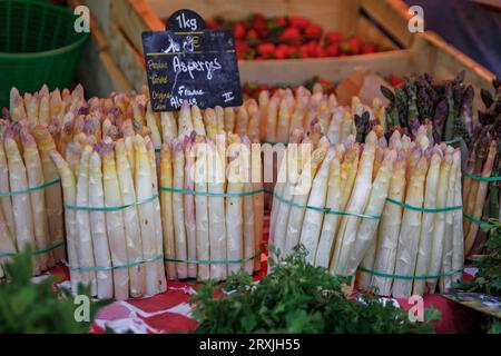 Asperges blanches fraîches cultivées localement à vendre sur un marché fermier sur la place Broglie dans le centre historique de Strasbourg, Alsace, France Banque D'Images