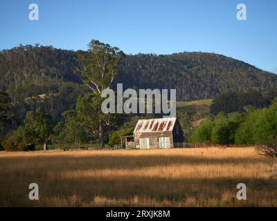 Chalet rouillé ondulé dans la Tasmanie rurale Australie, sécheresse herbe sèche au premier plan et arbres et une colline le long du côté et derrière elle Banque D'Images