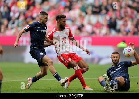 Eric Maxim Choupo-Moting du FC Bayern Muenchen , Ivan Ordets von VFL Bochum FC Bayern Muenchen vs VFL Bochum Fussball 1.Bundesliga saison 2023/24 5. Spieltag Allianz Arena 23.09.2023 © diebilderwelt / Alamy stock Banque D'Images