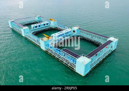 (230926) -- ZHANJIANG, 26 septembre 2023 (Xinhua) -- cette photo aérienne prise le 20 septembre 2023 montre le 'Haiwei-2', une plate-forme d'aquaculture semi-submersible intelligente dans la baie de Liusha à Zhanjiang, dans la province du Guangdong, dans le sud de la Chine. 'Haiwei-2' est un ranch marin géant transportant près de 1 millions d'alevins de pomfrette dorés d'environ 100 tonnes. Mesurant 86 mètres de long, 32 mètres de large et 16,5 mètres de haut, la plateforme géante possède une capacité de 30 000 mètres cubes d’eau pour l’aquaculture et peut récolter plus de 500 tonnes de poissons en un cycle. Equipé du système d'électricité solaire, la plate-forme est auto Banque D'Images