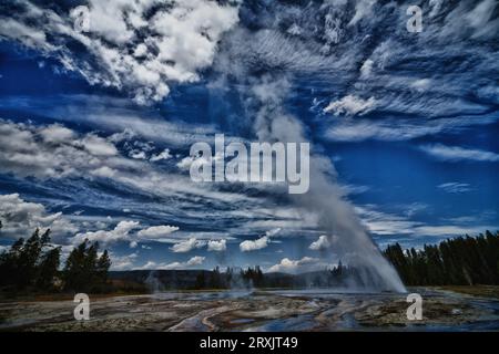 Daisy Geyser est l'un des geysers les plus célèbres et prévisibles qui entre en éruption toutes les 2 à 3 heures pendant une période de 3 à 5 minutes et qui entre en éruption sous un angle avec le sol. Banque D'Images