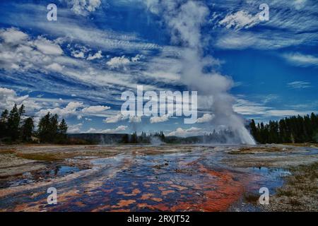 Daisy Geyser est l'un des geysers les plus célèbres et prévisibles qui entre en éruption toutes les 2 à 3 heures pendant une période de 3 à 5 minutes et qui entre en éruption sous un angle avec le sol. Banque D'Images