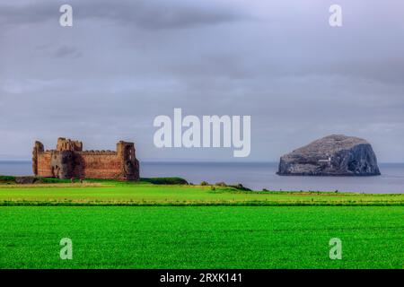 Le château en ruines de Tantallon, au sommet d'une falaise, à North Berwick, East Lothian, en Écosse Banque D'Images