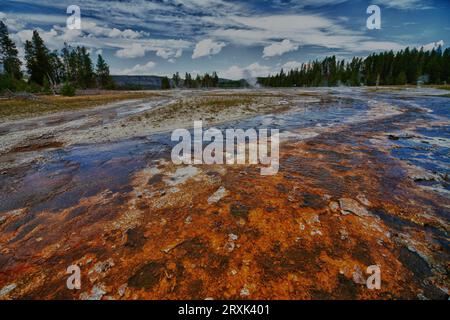 Daisy Geyser est l'un des geysers les plus célèbres et prévisibles qui entre en éruption toutes les 2 à 3 heures pendant une période de 3 à 5 minutes et qui entre en éruption sous un angle avec le sol. Banque D'Images