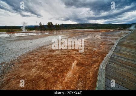 Daisy Geyser est l'un des geysers les plus célèbres et prévisibles qui entre en éruption toutes les 2 à 3 heures pendant une période de 3 à 5 minutes et qui entre en éruption sous un angle avec le sol. Banque D'Images