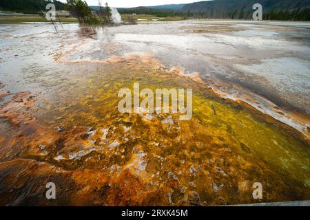 Daisy Geyser est l'un des geysers les plus célèbres et prévisibles qui entre en éruption toutes les 2 à 3 heures pendant une période de 3 à 5 minutes et qui entre en éruption sous un angle avec le sol. Banque D'Images