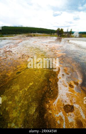 Daisy Geyser est l'un des geysers les plus célèbres et prévisibles qui entre en éruption toutes les 2 à 3 heures pendant une période de 3 à 5 minutes et qui entre en éruption sous un angle avec le sol. Banque D'Images