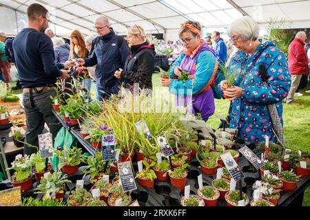 Les gens achètent des plantes au Malvern Autumnal Show. Les trois jours Malvern Autumn Show au Three Counties Showground, Malvern, Worcestershire, Angleterre, Royaume-Uni. Banque D'Images