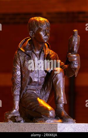 Une sculpture de Billy Casper dans le film 'Kess' qui a été installé à Barnsley pour rendre hommage au dramaturge Barry Hines Banque D'Images