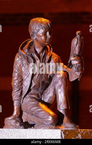 Une sculpture de Billy Casper dans le film 'Kess' qui a été installé à Barnsley pour rendre hommage au dramaturge Barry Hines Banque D'Images