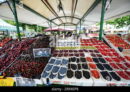Un marché de produits frais au Gustav Adolfs torg dans la vieille ville historique de Malmö, en Suède. Banque D'Images