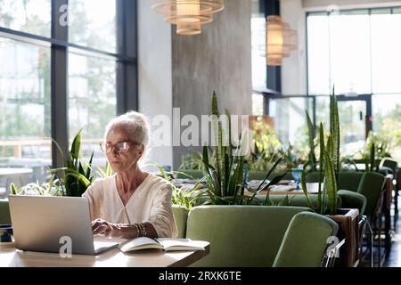 Femme âgée sérieuse dans les lunettes assis à table et tapant sur ordinateur portable, elle travaille en ligne dans le café Banque D'Images