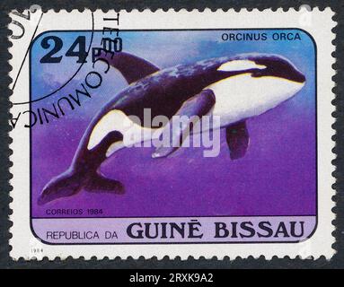 Orcinus orca (connu sous le nom d'orque). Timbre-poste émis en Guinée-Bissau en 1984. Banque D'Images