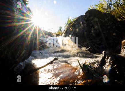 26 septembre 2023, Saxe-Anhalt, Hasserode : l'eau ondule à la lumière du soleil levant dans un ruisseau dans le district de Harz. (Prise avec une vitesse d'obturation lente) photo : Julian Stratenschulte/dpa Banque D'Images