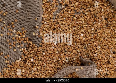 Les gruaux de sarrasin mal nettoyés pour la cuisson de porridge, une grande quantité de traitement de mauvaise qualité des gruaux de sarrasin gros plan Banque D'Images