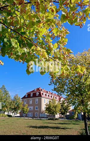 26 septembre 2023, Saxe-Anhalt, Blankenburg : les feuilles d'un tilleul dans le parc du château de Ballenstedt sont déjà légèrement colorées en automne. L'hôtel du château peut être vu en arrière-plan. High Rosi continue de fournir un temps ensoleillé en Saxe-Anhalt. Photo : Matthias Bein/dpa Banque D'Images