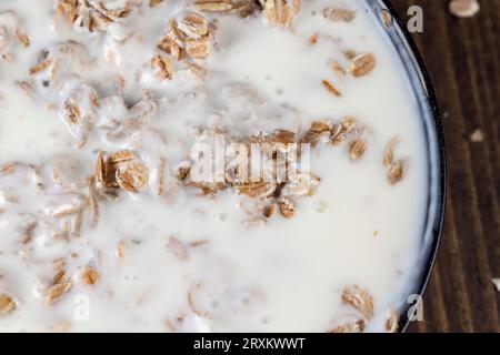 yaourt à base de lait de vache avec ajout d'une grande quantité de flocons d'avoine, petit déjeuner rapide de flocons d'avoine et de produits laitiers Banque D'Images