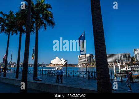 L'Opéra sur le port de Sydney, Nouvelle-Galles du Sud, Australie Banque D'Images