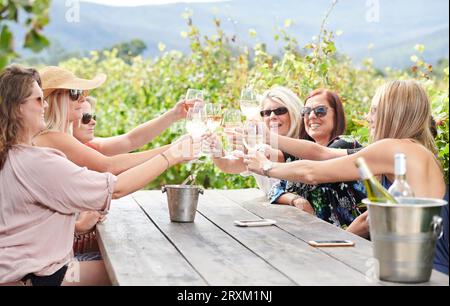 Les amis de faire des toasts pendant le déjeuner du vignoble Banque D'Images