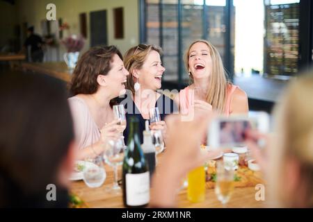 Rire des femmes pendant le déjeuner avec des amis Banque D'Images