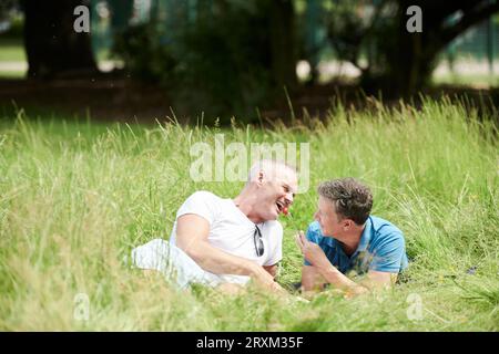 Gay couple having picnic in field Banque D'Images