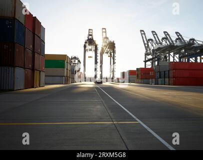 Les conteneurs de fret et les grues du port de Felixstowe, England Banque D'Images