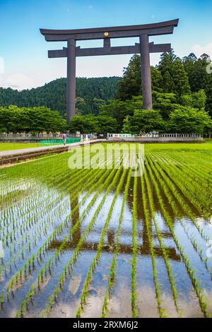 Pèlerinage de Kumano kodo. Otorii. Tori culte porte qui marque l'entrée de Oyunohara. Nakahechi. La préfecture de Wakayama. La péninsule de Kii. R Kansai Banque D'Images