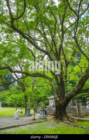 Pèlerinage de Kumano kodo. Autour du grand culte, Kumano Hongu Taisha. Nakahechi. La préfecture de Wakayama. La péninsule de Kii. Région du Kansai. Honshü Isla Banque D'Images