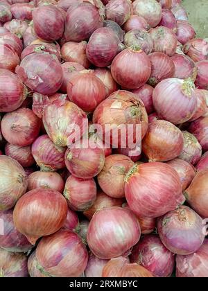 Stalle d'oignon frais. Étal d'oignon frais biologique sur le marché des légumes. Stalle d'oignon. Manger sainement. Oignons. Banque D'Images