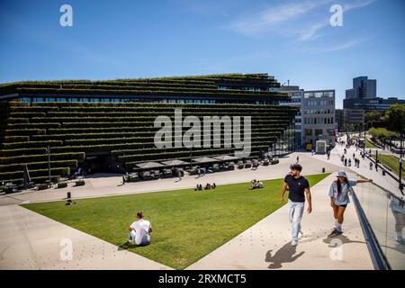 Vue depuis le toit vert accessible à pied du pavillon triangulaire jusqu'au bâtiment Koe-Bogen II avec sa façade verte, vallée d'Ingenhoven, Gustaf-Gruendgens Banque D'Images