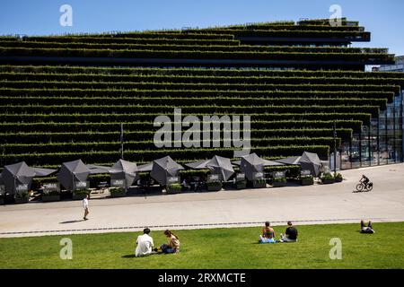 Vue depuis le toit vert accessible à pied du pavillon triangulaire jusqu'au bâtiment Koe-Bogen II avec sa façade verte, vallée d'Ingenhoven, Gustaf-Gruendgens Banque D'Images