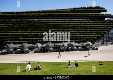 Vue depuis le toit vert accessible à pied du pavillon triangulaire jusqu'au bâtiment Koe-Bogen II avec sa façade verte, vallée d'Ingenhoven, Gustaf-Gruendgens Banque D'Images