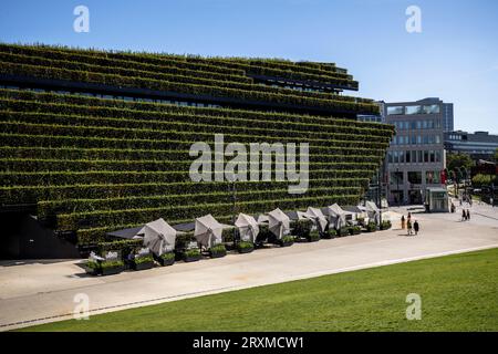 Vue depuis le toit vert accessible à pied du pavillon triangulaire jusqu'au bâtiment Koe-Bogen II avec sa façade verte, vallée d'Ingenhoven, Gustaf-Gruendgens Banque D'Images