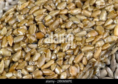 Graines de tournesol frites à la mélasse sucrée de betterave à sucre, délicieux kozinak oriental à base de graines de tournesol, mélasse et miel Banque D'Images