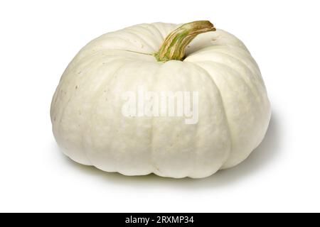 Single Whole Fresh Flat White Boer Pumpkin isolé sur fond blanc gros plan Banque D'Images