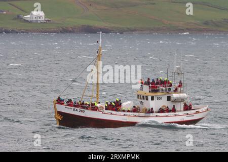 Bateau d'observation des baleines Hauganes, Akureyri Islande Banque D'Images