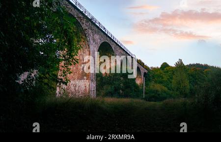 Vieux viaduc de chemin de fer en pierre, viaduc Roumanie, viaduc sur un village Banque D'Images