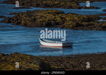 Sea Skiff est assis à marée basse de l'océan parmi les îles rocheuses couvertes d'algues en attente de travail. Banque D'Images